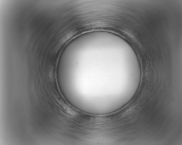 X0000056360873200509161825