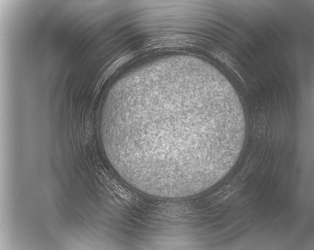 X0000056360874200509161825