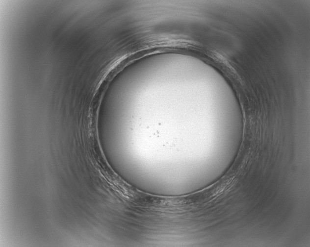 X0000056360875200509161825