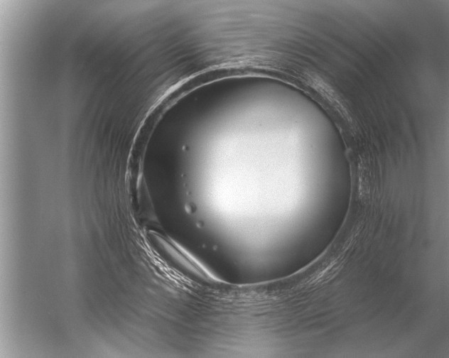 X0000056360876200509161825