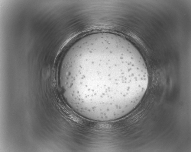 X0000056360878200509161825