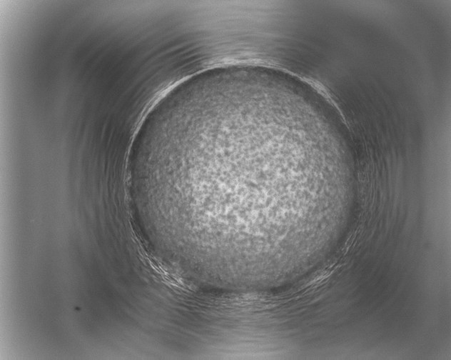 X0000056360879200509161825