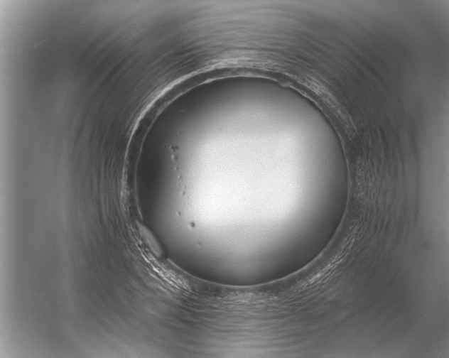 X0000056360880200509161825