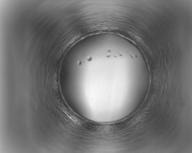 X0000056360881200509161825