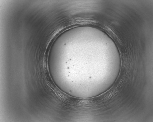 X0000056360883200509161825