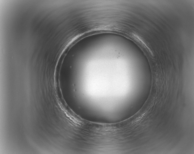 X0000056360884200509161825