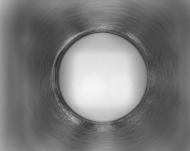 X0000056360886200509161825