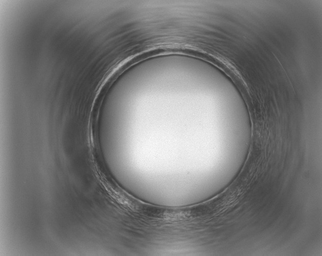 X0000056360887200509161825