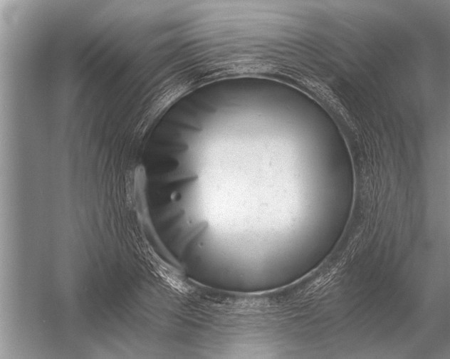 X0000056360889200509161825