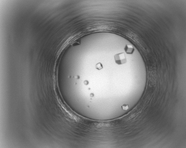 X0000056360890200509161825