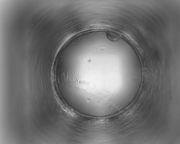 X0000056360891200509161825