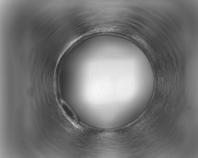 X0000056360894200509161825