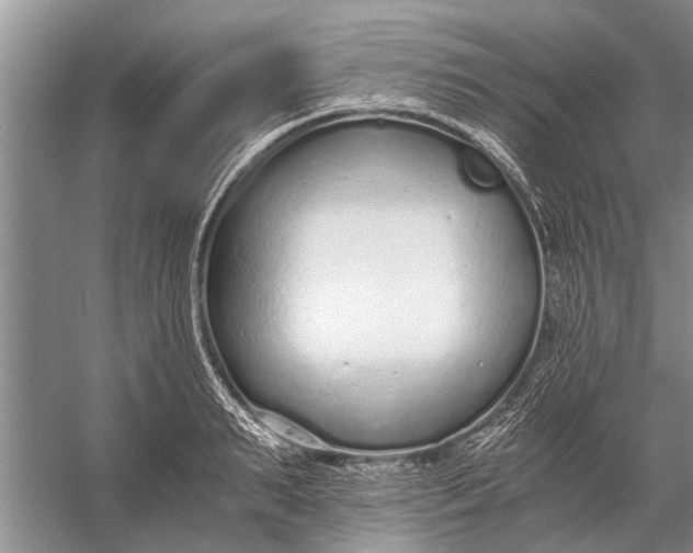 X0000056360895200509161825