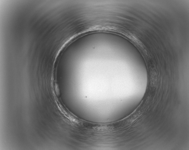 X0000056360896200509161825