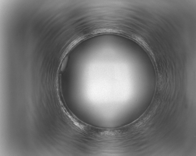 X0000056360898200509161825