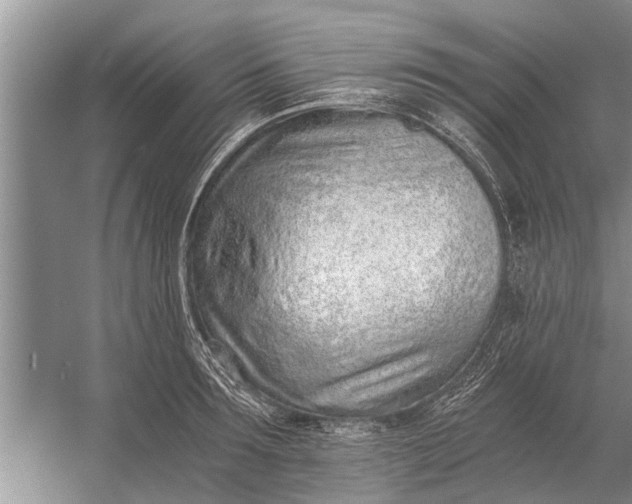 X0000056360899200509161825