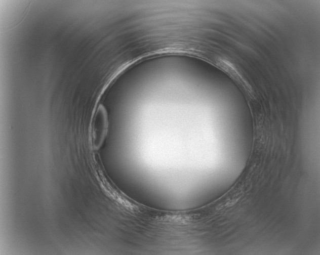 X0000056360900200509161825