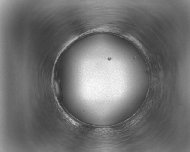 X0000056360902200509161825