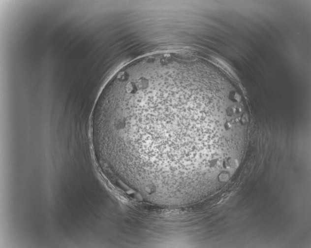 X0000056360907200509161825