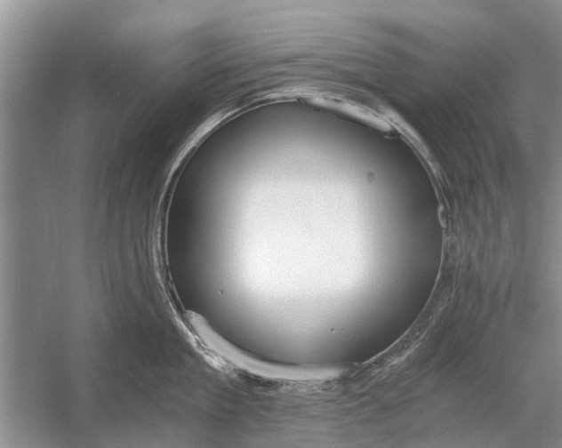 X0000056360909200509161825