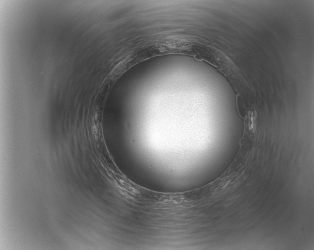 X0000056360915200509161824