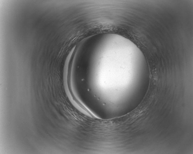 X0000056360916200509161824