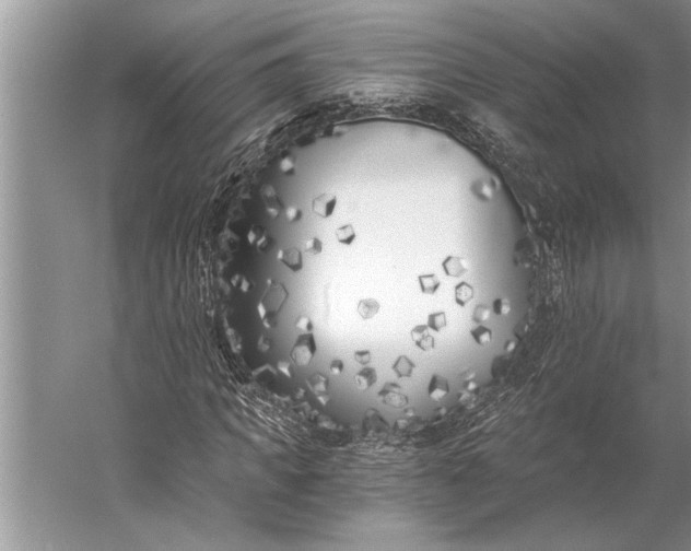 X0000056360917200509161824