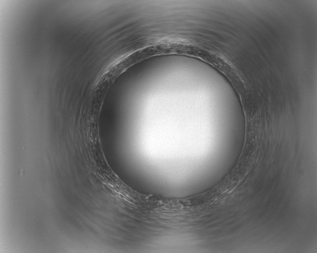 X0000056360919200509161824