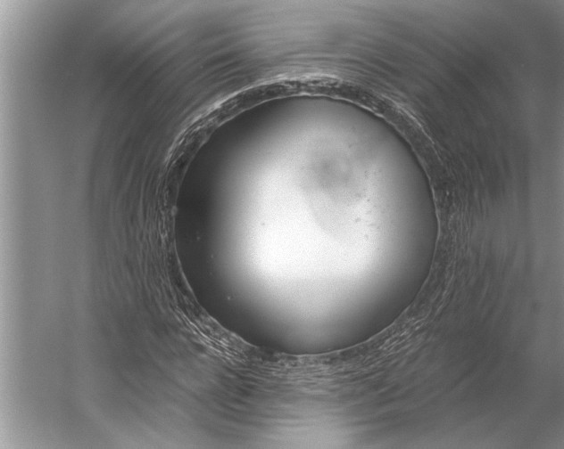 X0000056360920200509161824