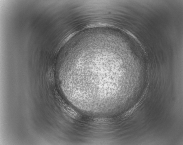 X0000056360921200509161824