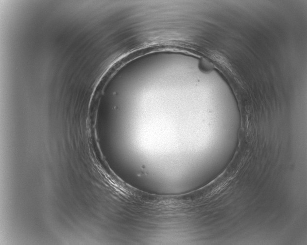 X0000056360924200509161824