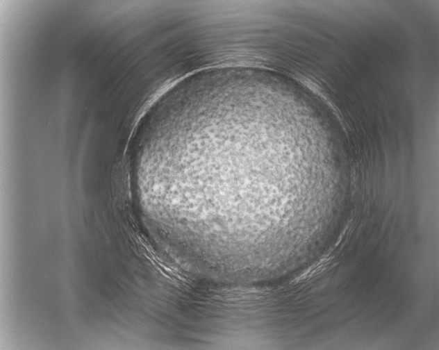 X0000056360925200509161824