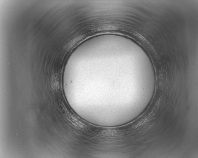 X0000056360929200509161824