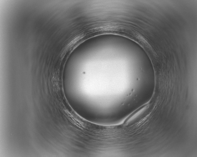 X0000056360930200509161824