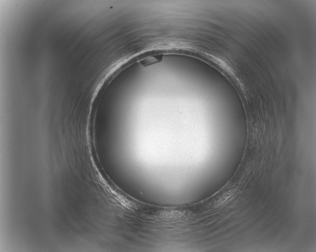 X0000056360943200509161824