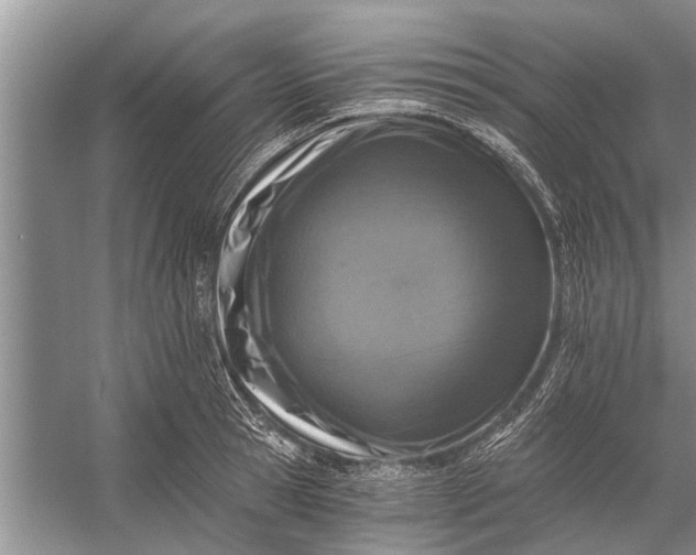 X0000056360945200509161824