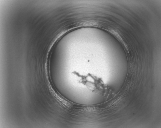 X0000056360947200509161824