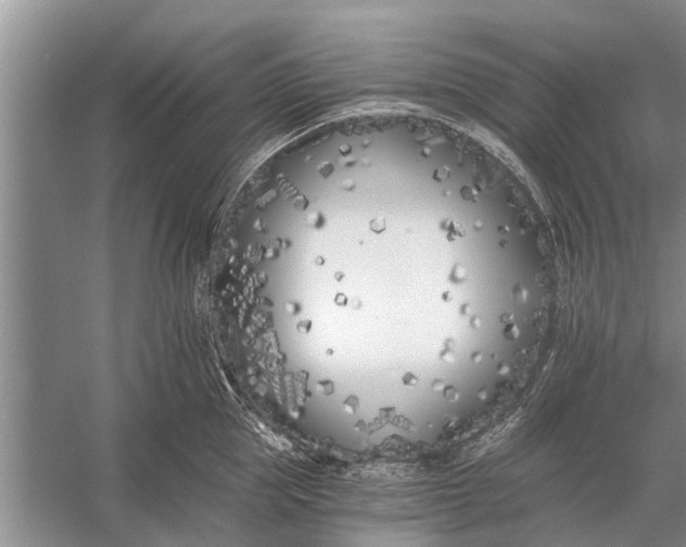 X0000056360953200509161825