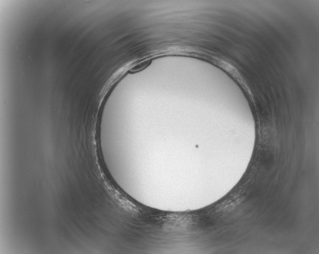 X0000056360954200509161825