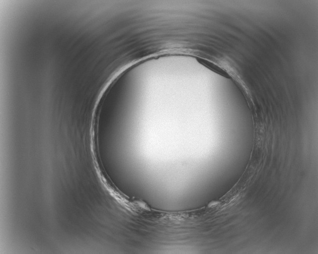 X0000056360955200509161825