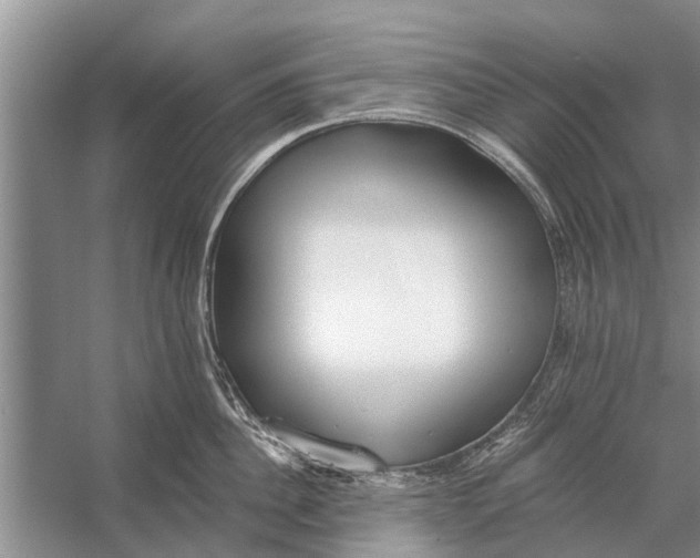 X0000056360956200509161825