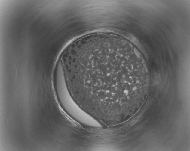 X0000056360958200509161825