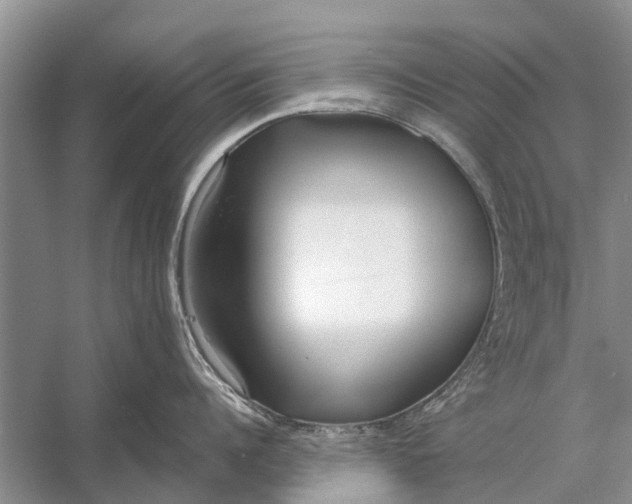 X0000056360960200509161825