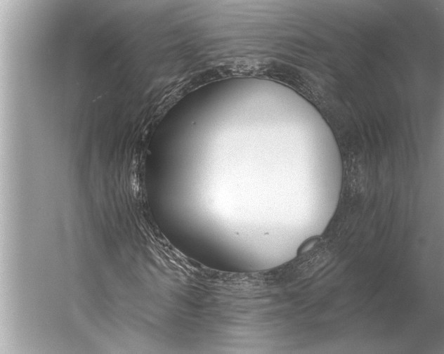 X0000056360962200509161824