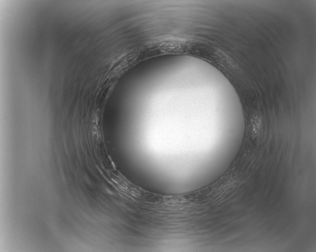 X0000056360964200509161824