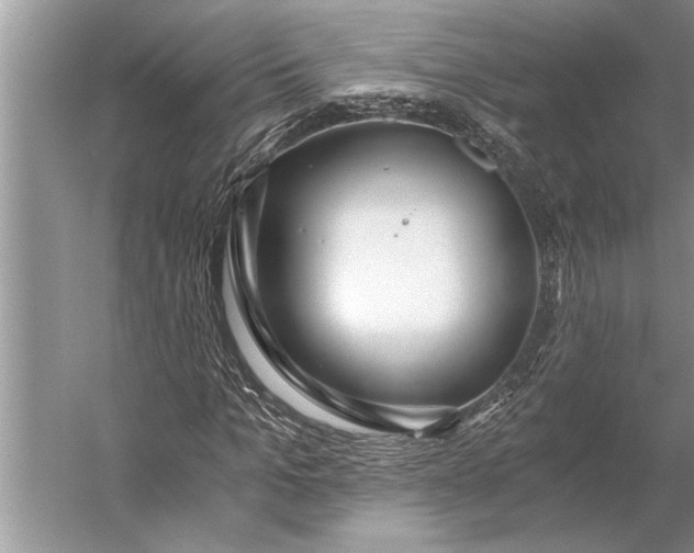 X0000056360965200509161824