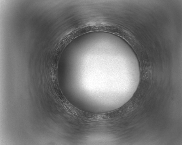 X0000056360966200509161824