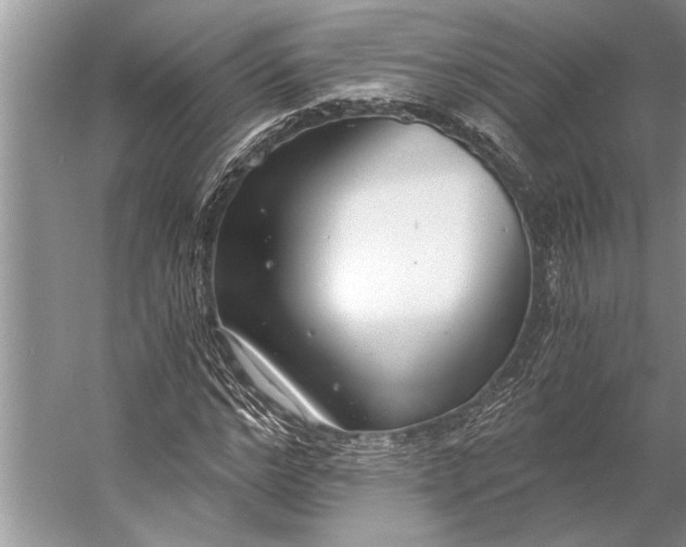 X0000056360968200509161824