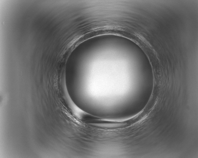 X0000056360969200509161824