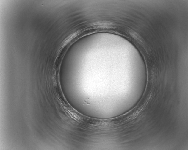 X0000056360970200509161824